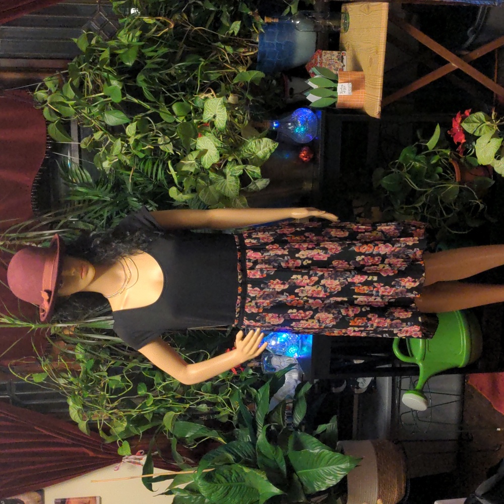 Lovingly used Rose Petals dress.